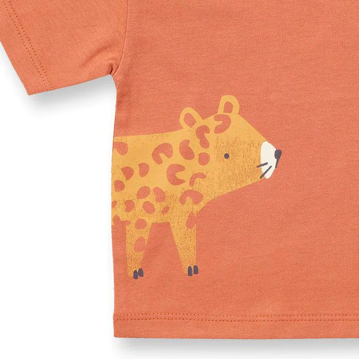 T-Shirt – Anton
