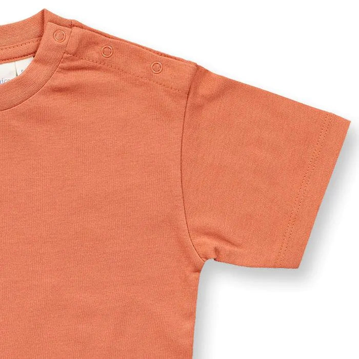 T-Shirt – Anton