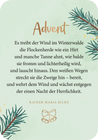 Adventskalender – Allüberall auf den Tannenspitzen