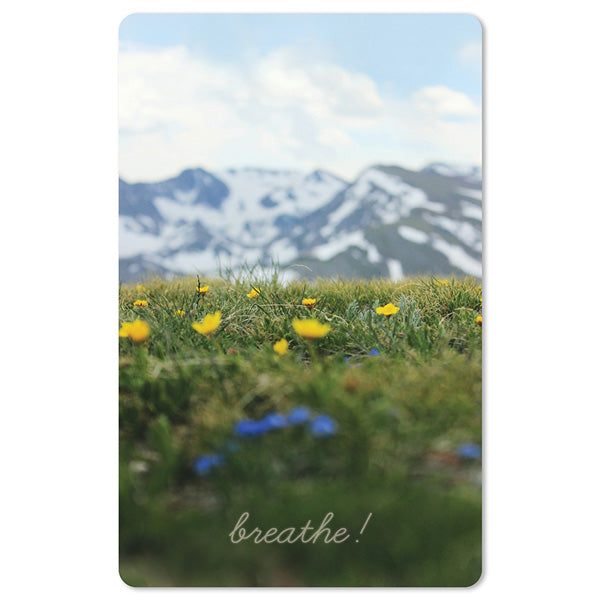 Mini-Postkarte – Alm