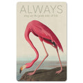 Mini-Postkarte – Flamingo