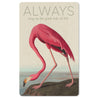 Mini-Postkarte – Flamingo