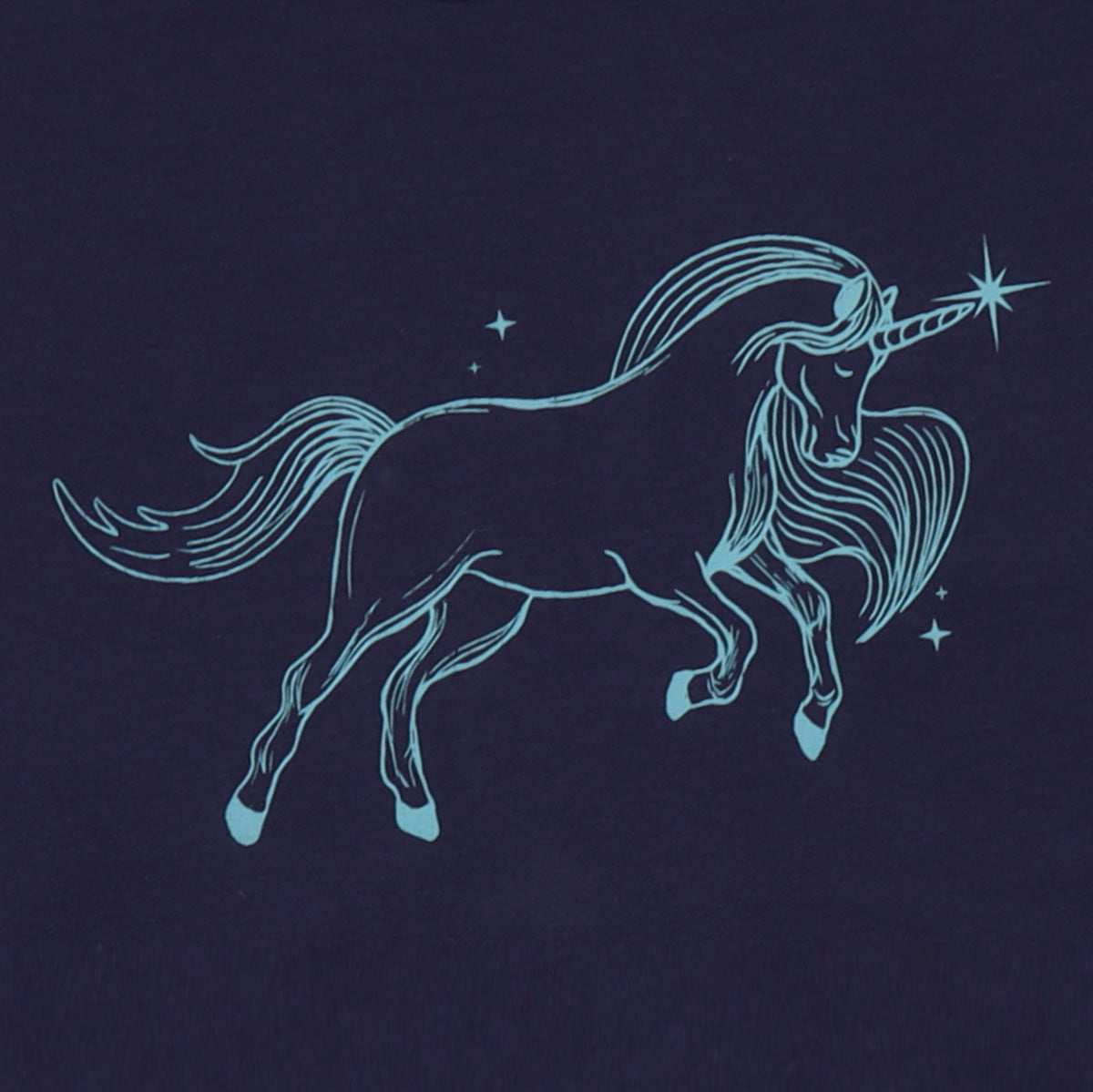 Langarmshirt – Einhorn