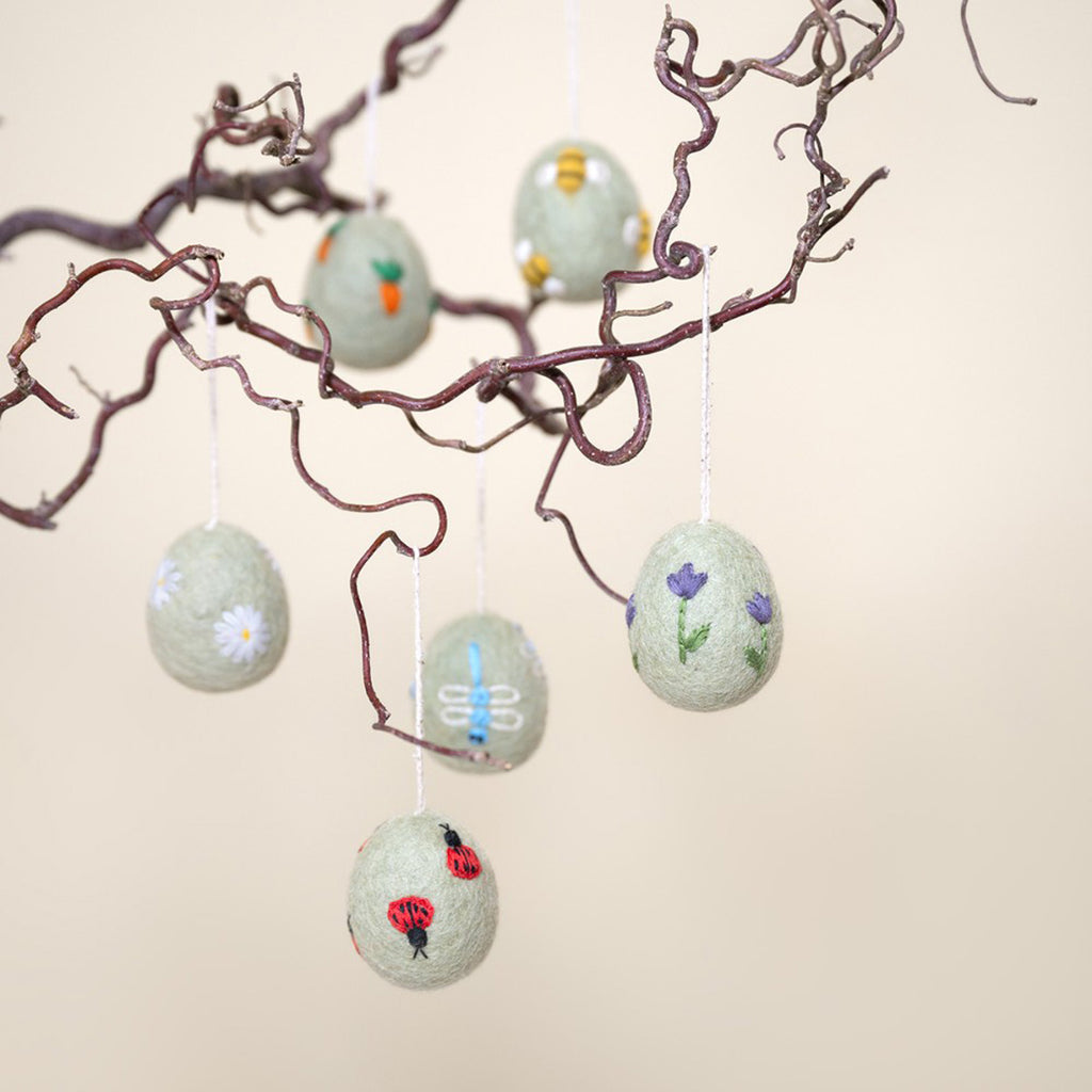 Eier – Funny Bunny | verschiedene