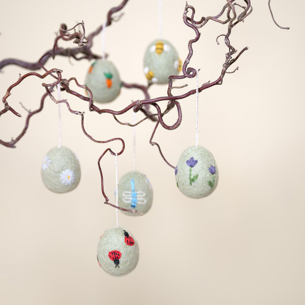 Eier – Funny Bunny | verschiedene