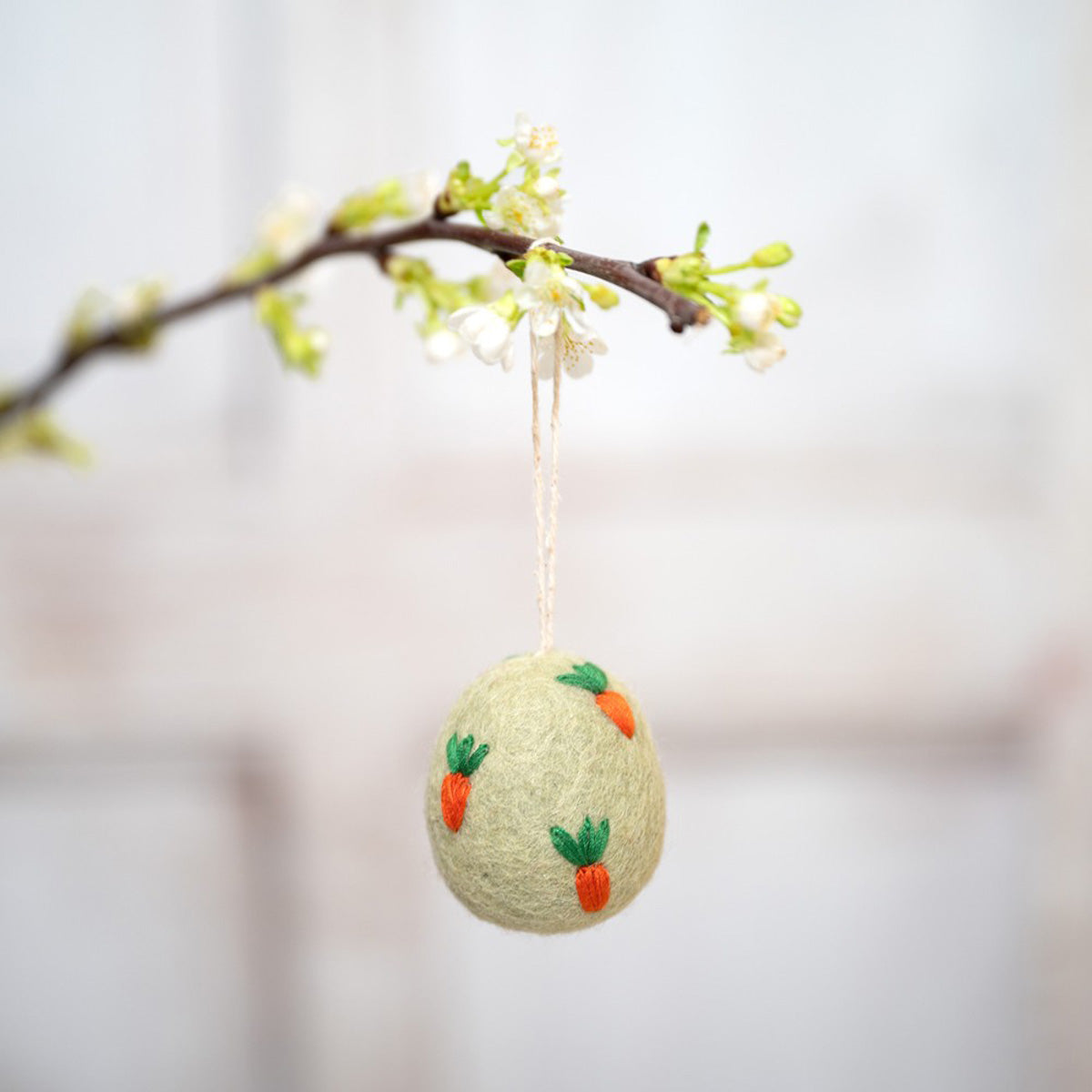 Eier – Funny Bunny | verschiedene