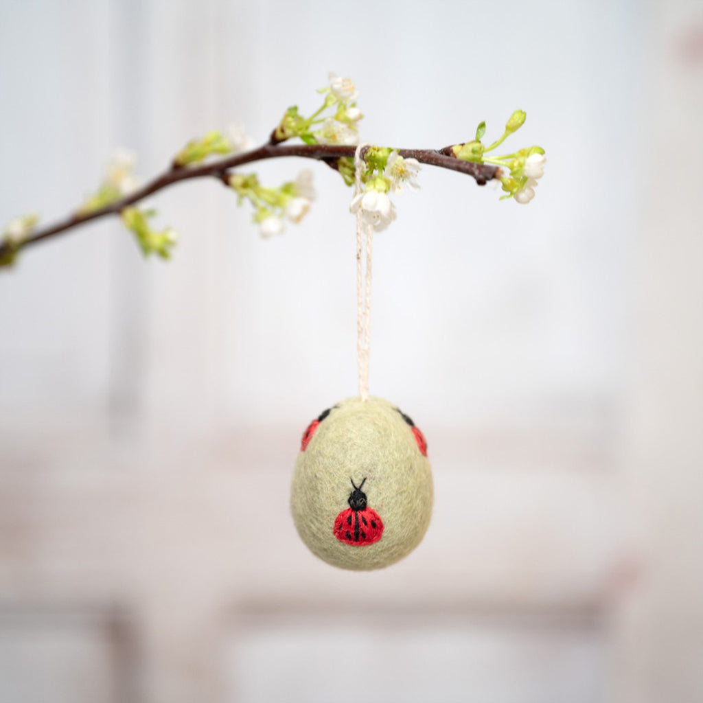 Eier – Funny Bunny | verschiedene