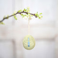 Eier – Funny Bunny | verschiedene