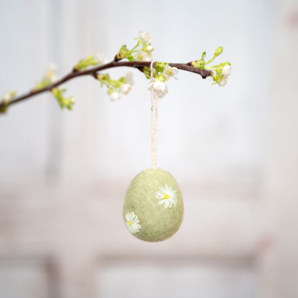 Eier – Funny Bunny | verschiedene