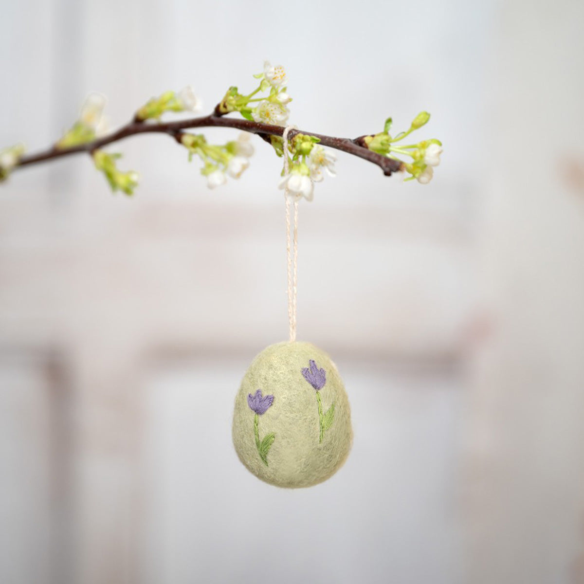 Eier – Funny Bunny | verschiedene