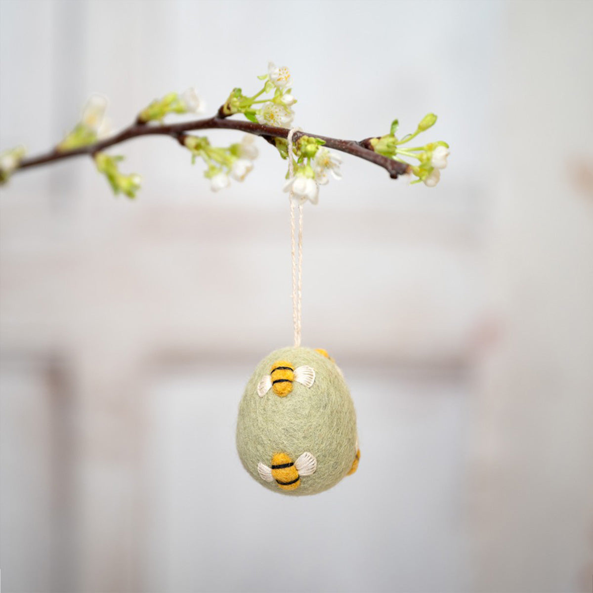 Eier – Funny Bunny | verschiedene