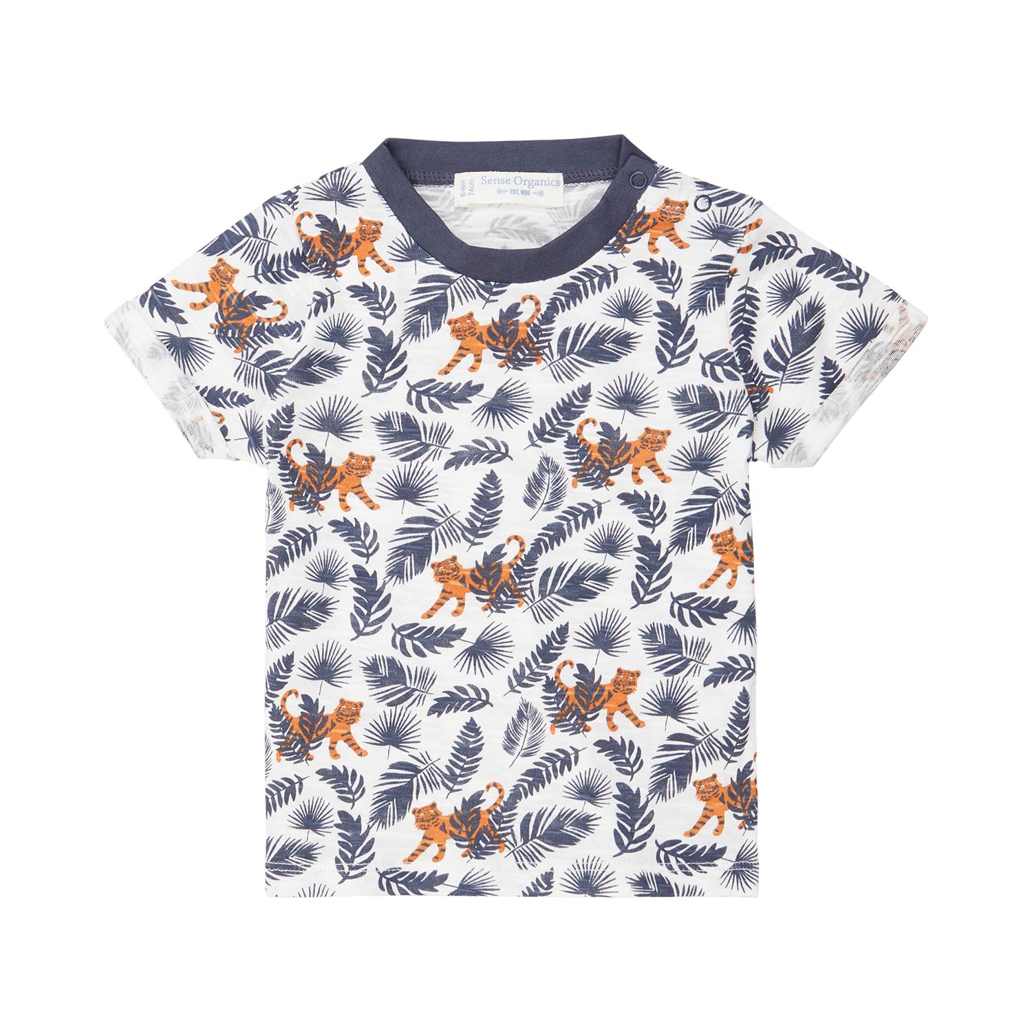 T-Shirt – Odo