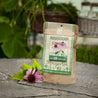 Minigarten – Echinacea
