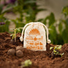 Seedbombs – Topfbälle